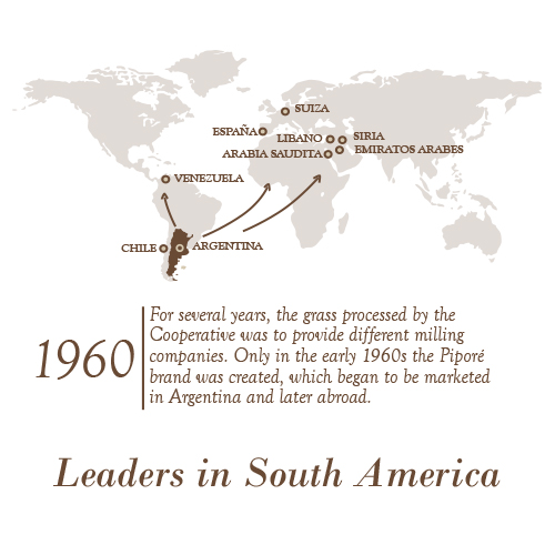 Tea Leaders in South America